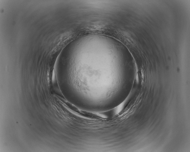 X0000061741156200512021435