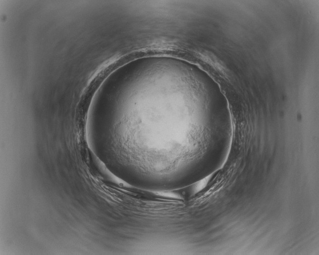 X0000061741160200512021435