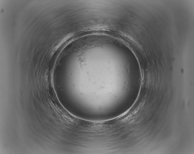 X0000061741162200512021435