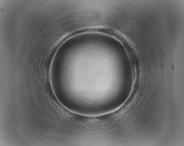 X0000061741169200512021435