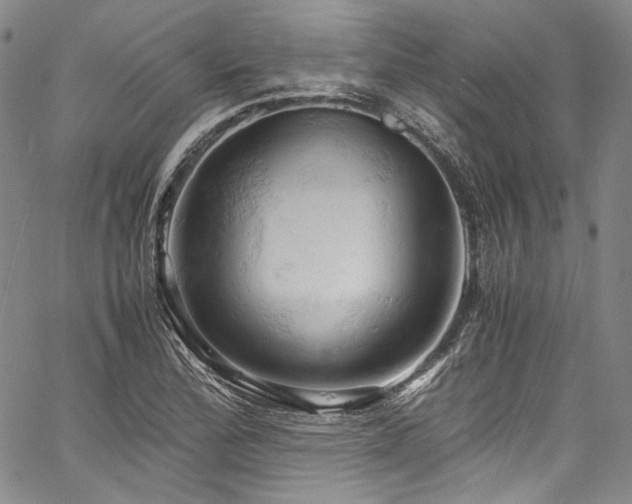 X0000061741172200512021435