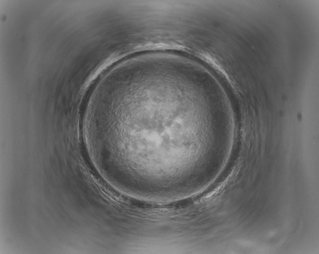 X0000061741173200512021435