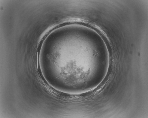 X0000061741175200512021434