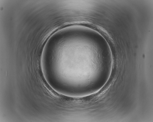 X0000061741177200512021434