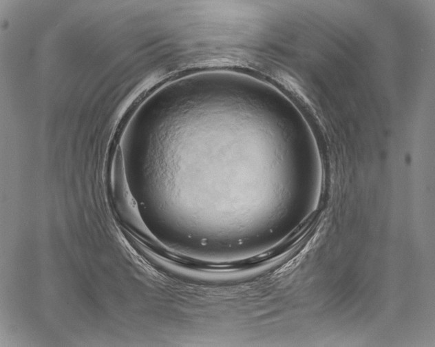 X0000061741181200512021434