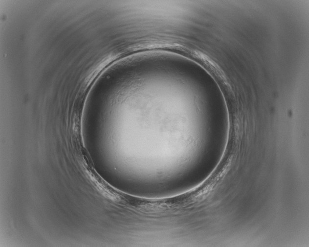 X0000061741185200512021434