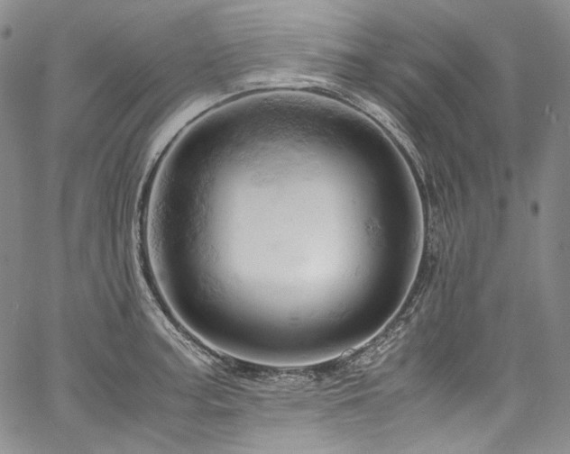 X0000061741187200512021434