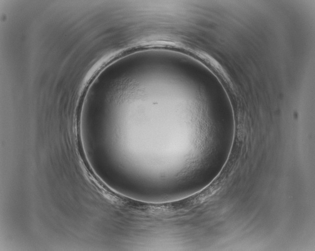 X0000061741191200512021434