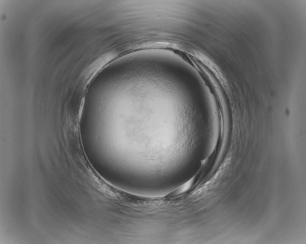 X0000061741193200512021434