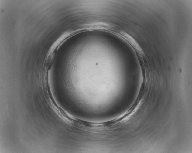 X0000061741196200512021434