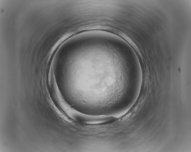 X0000061741197200512021434