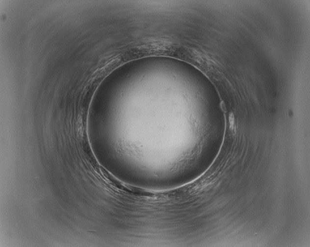 X0000061741203200512021433