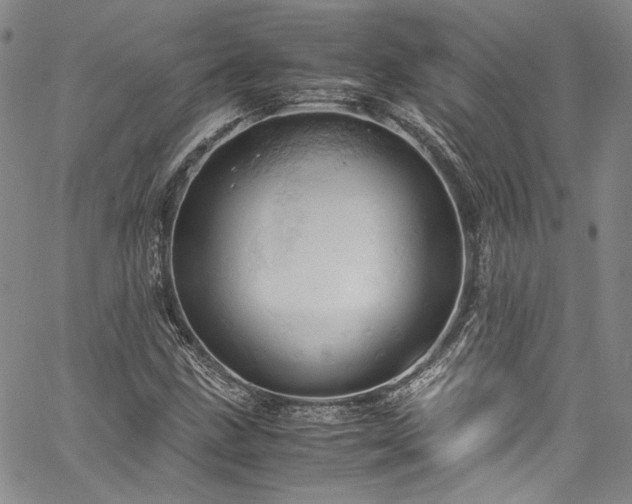 X0000061741211200512021433