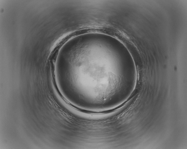 X0000061741214200512021434