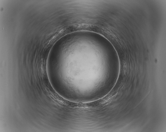 X0000061741250200512021433