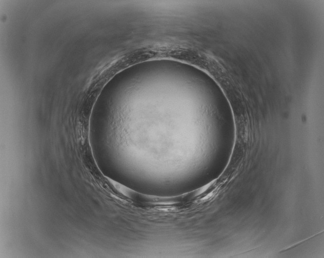 X0000061741253200512021433