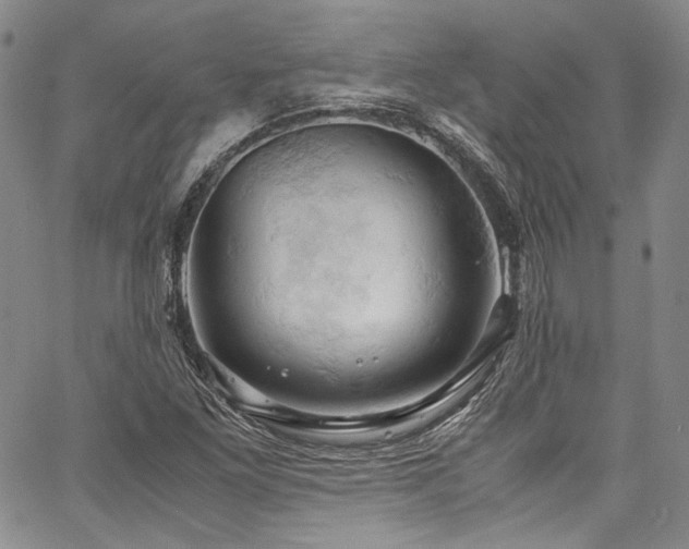 X0000061741261200512021433