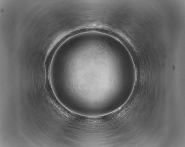 X0000061741270200512021433