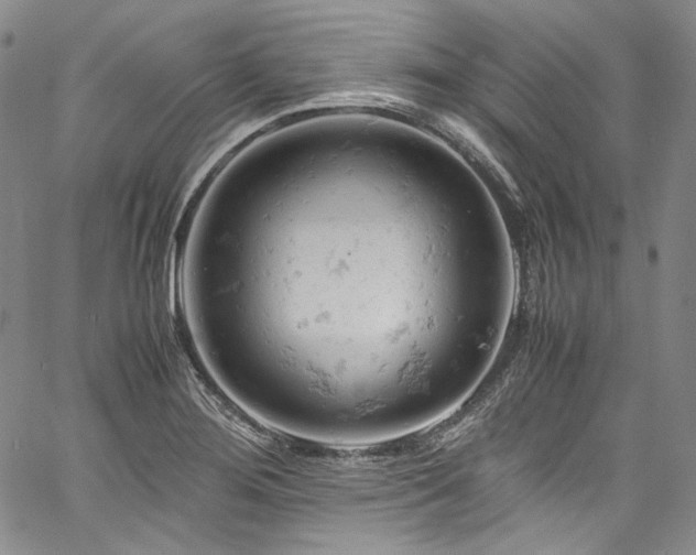 X0000061741276200512021433