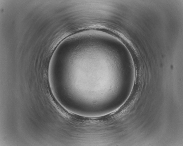 X0000061741281200512021433