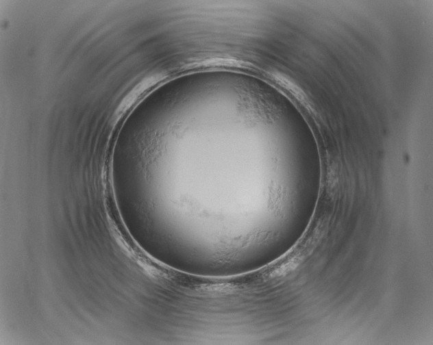 X0000061741282200512021433