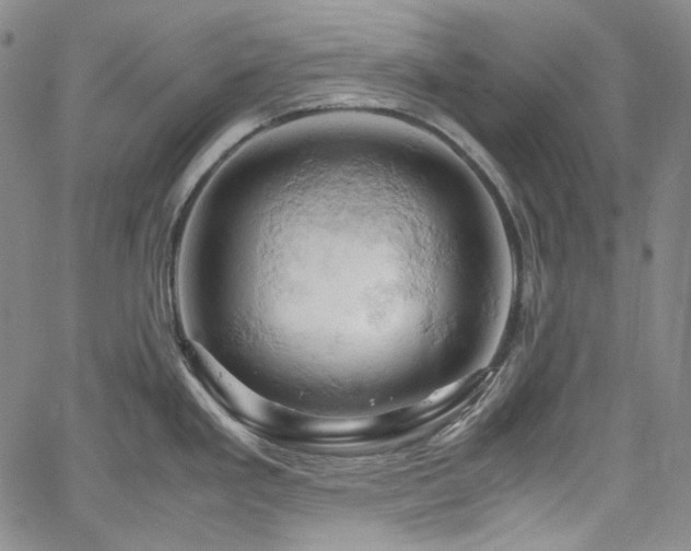 X0000061741293200512021433