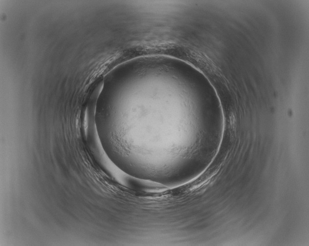 X0000061741300200512021432