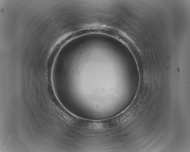 X0000061741315200512021432