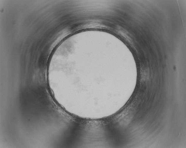 X0000061741322200512021432