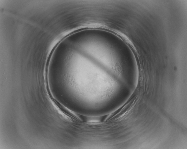 X0000061741343200512021432