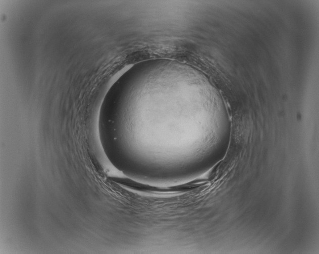 X0000061741345200512021431
