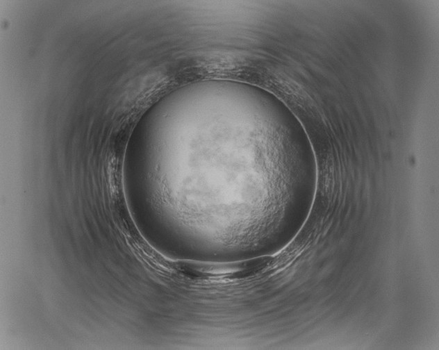 X0000061741346200512021431