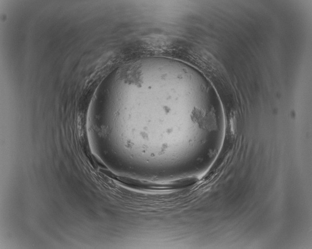 X0000061741347200512021431