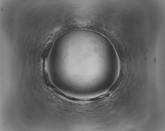 X0000061741349200512021431