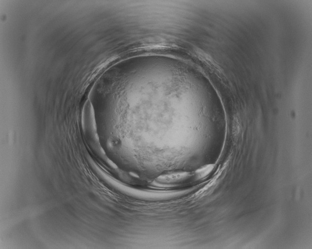 X0000061741353200512021431