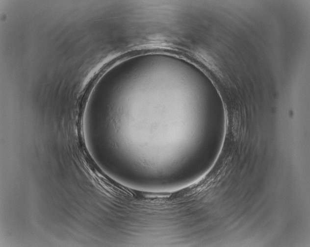 X0000061741356200512021431