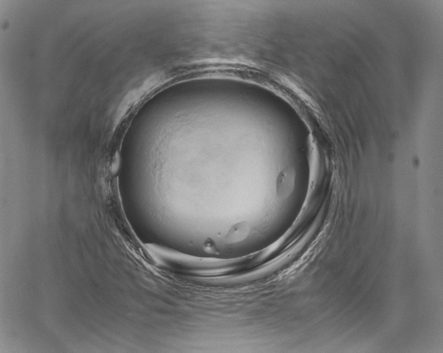 X0000061741357200512021431