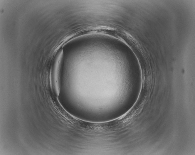 X0000061741361200512021431