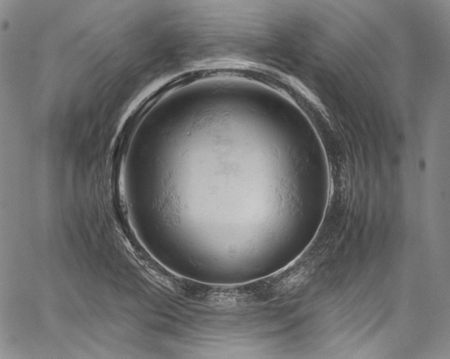 X0000061741364200512021431