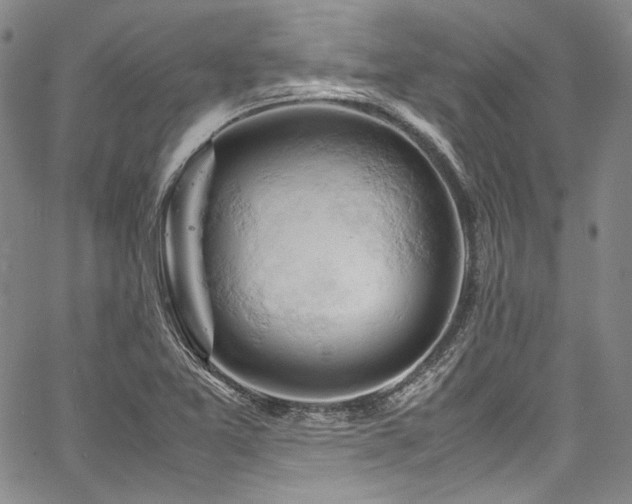 X0000061741365200512021431