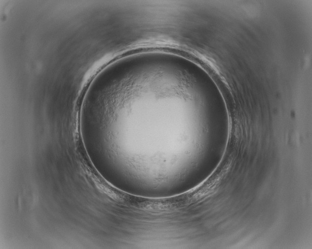 X0000061741366200512021431