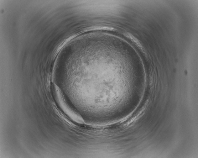 X0000061741369200512021431