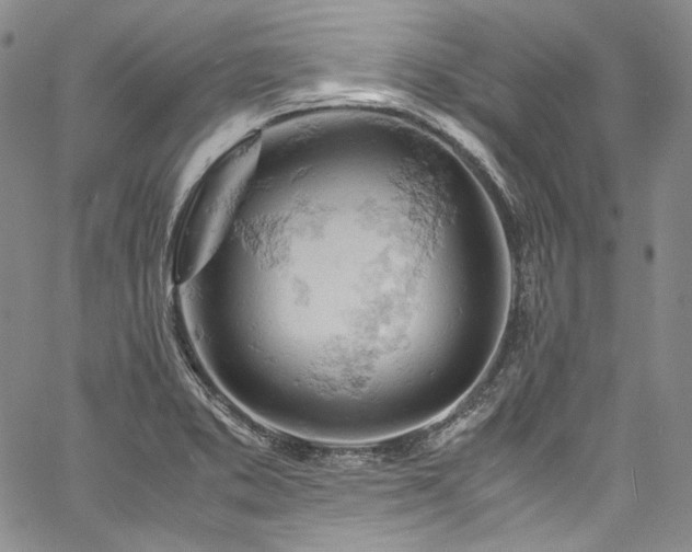 X0000061741373200512021431
