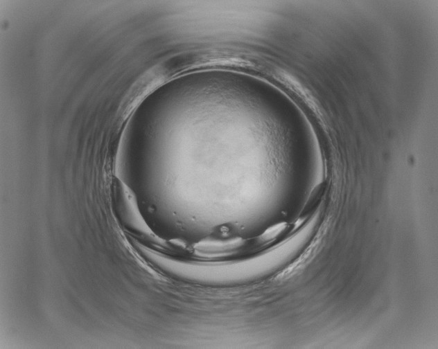 X0000061741377200512021431