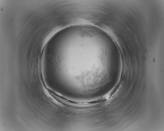 X0000061741390200512021431