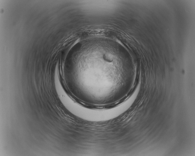 X0000061741394200512021430