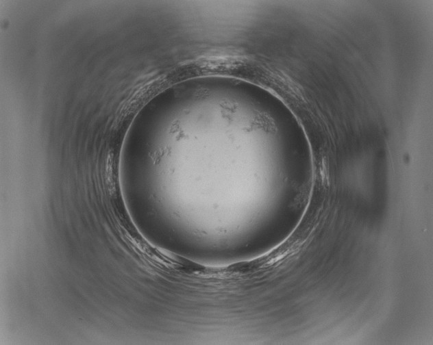 X0000061741396200512021430