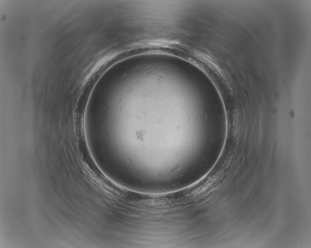 X0000061741404200512021430