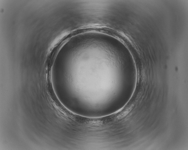 X0000061741406200512021430