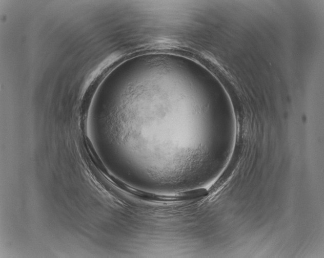 X0000061741410200512021430